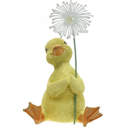 Floristik24 Jarní dekorace, káčátka s pampeliškou, ozdobná figurka V13,5cm