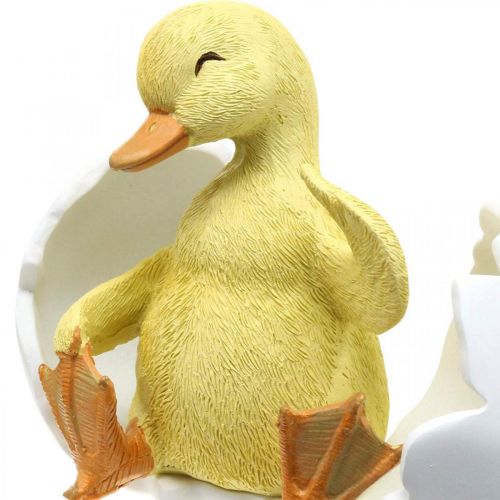 Floristik24 Vylíhlé mládě, figurka kachny, káčátko ve vejci V10cm Š12,5cm
