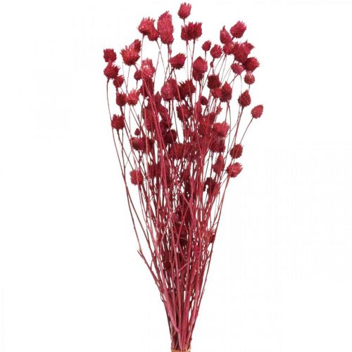 Sušené květy Ostropestřec červený Ostropestřec jahodový barevný 100g