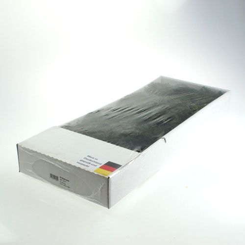 Floristik24 Vřes mechově zelený 750gr