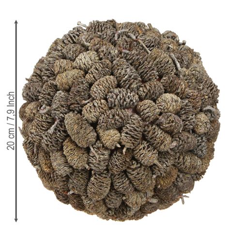 položky Dekorativní koule z olšového kužele k zavěšení, bílá, 20 cm