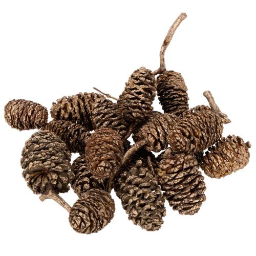 Olšové šišky, přírodní produkt pro dekoraci a tvoření, zlaté, 3 cm, 300 g