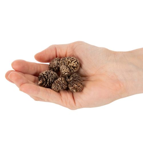 Olšové šišky, přírodní produkt pro dekoraci a tvoření, zlaté, 3 cm, 300 g | Floristik24.cz