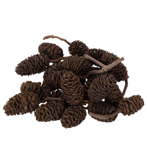 Přírodní olšové šišky, volné, na ozdobu, 3 cm, 300 g, přírodní hnědé.