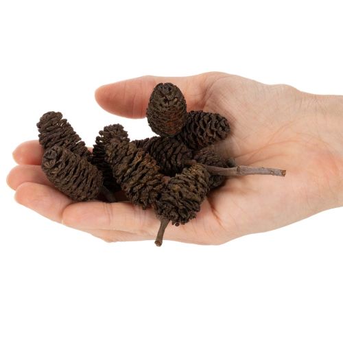 Přírodní olšové šišky, volné, na ozdobu, 3 cm, 300 g, přírodní hnědé. | Floristik24.cz