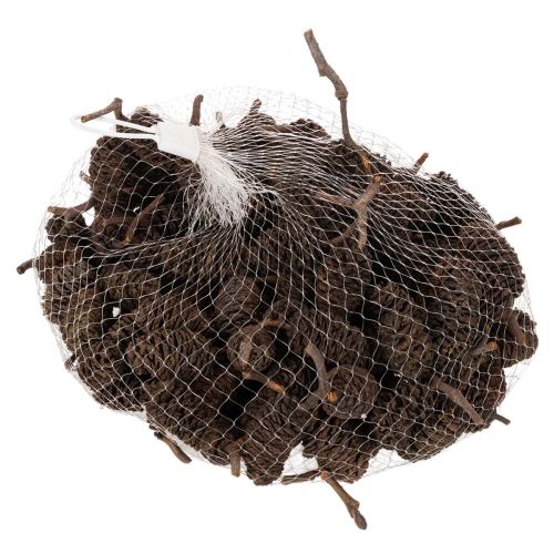Přírodní olšové šišky, volné,
