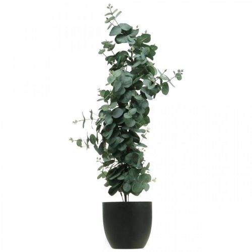 Floristik24 Eukalyptus v květináči umělá rostlina Umělá rostlinná dekorace V87cm