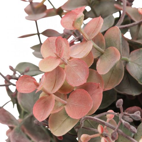 Floristik24 Eucalyptus Bush Umělý Eucalyptus Red Green 25cm 3ks