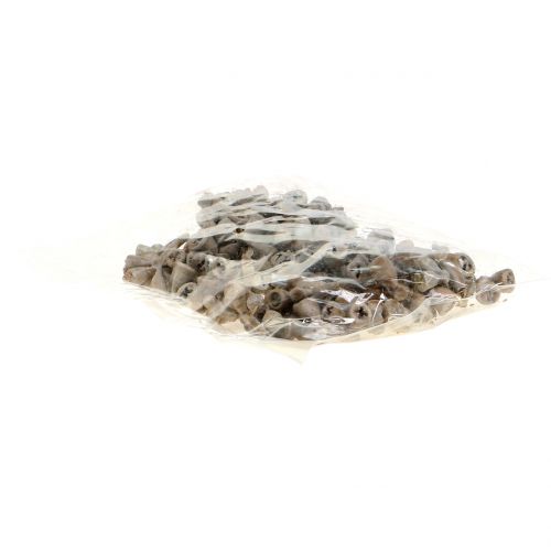 Floristik24 Plody eukalyptu voskované šedohnědé 250g