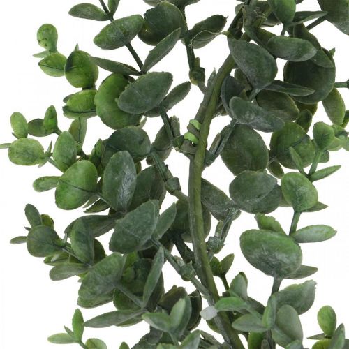 Floristik24 Dekorativní věnec eukalyptus zelený Umělý eukalyptový věnec Ø32cm