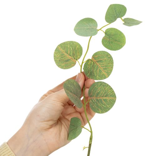 položky Dekorativní větvička eukalyptu, ideální dekorace na stůl, 120 cm