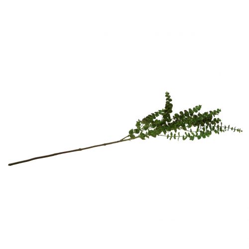 položky Eukalyptová větev zelená 130cm