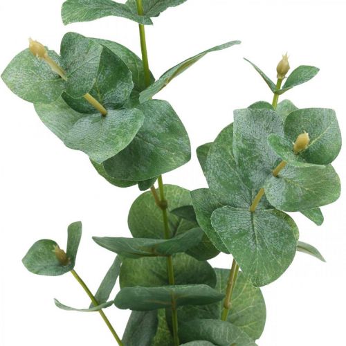 Floristik24 Eucalyptus Branch Umělá zelená rostlina Eucalyptus Deco 75cm