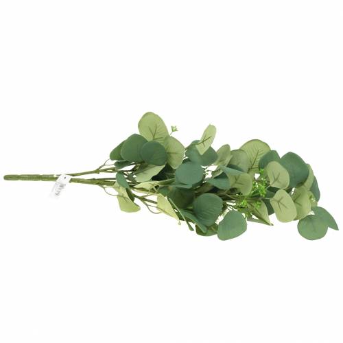 Floristik24 Eukalyptová větev 52cm