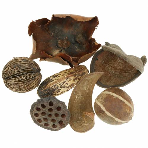 Floristik24 Exotická řada příroda v síti 200g