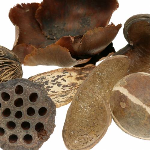 Floristik24 Exotická řada příroda v síti 200g