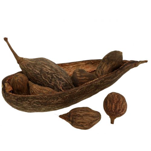 Floristik24 Směs ovoce baobab se skořápkou 300g