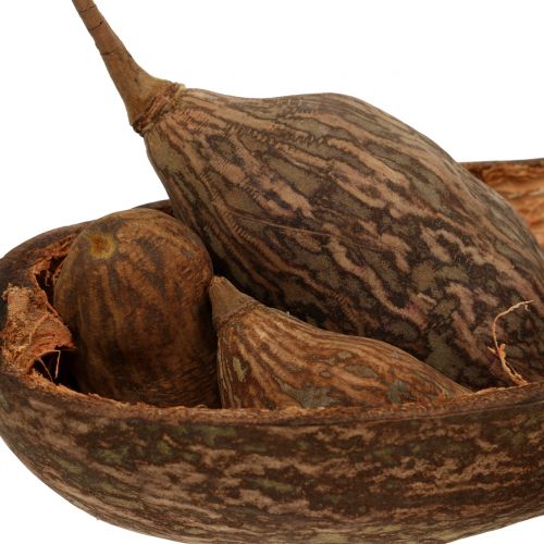 Floristik24 Směs ovoce baobab se skořápkou 300g