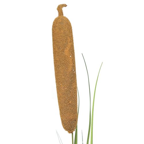 Floristik24 Umělé rostliny, orobinec umělý, rákosová dekorace 92cm