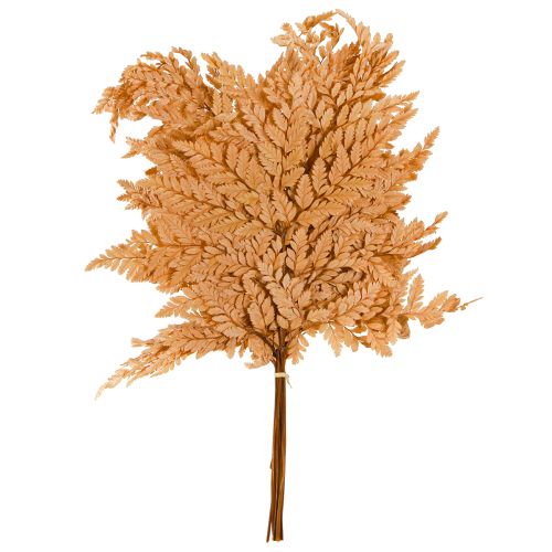 položky Dekorace kapradiny Real Fern Fronds Orange Zachovalé 45cm 10 ks