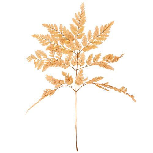 položky Dekorace kapradiny Real Fern Fronds Orange Zachovalé 45cm 10 ks