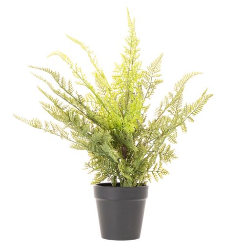 Umělá kapradina v květináči pro vnitřní zeleň, 40 cm | Floristik24.cz