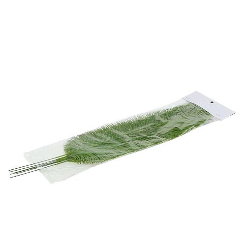Floristik24 Kapradinové listy zelené 59cm 6ks