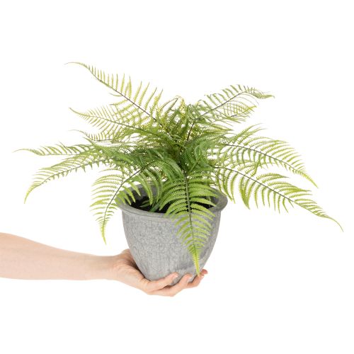 Umělá kapradina v květináči do obývacího pokoje a kanceláře, 35 cm | Floristik24.cz