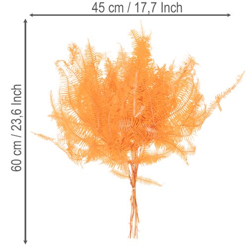 Větev kapradiny, konzervovaná kapradina, sušená dekorace do aranžmá, 60 cm, 10 kusů | Floristik24.cz