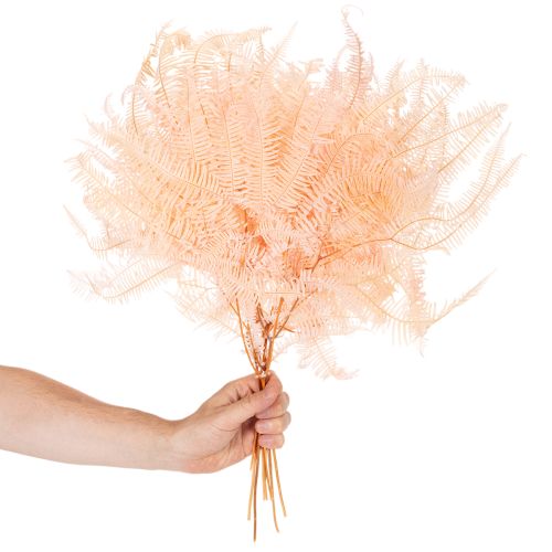 Sušené listy kapradiny, dekorace kapradiny do vázy, 60 cm, 10 kusů | Floristik24.cz
