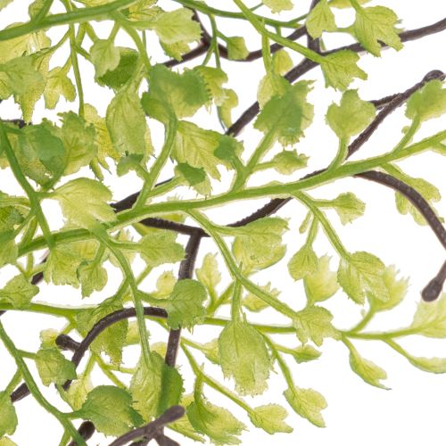 Umělá zelená větvička Ruscus pro květinovou dekoraci, 41 cm | Floristik24.cz