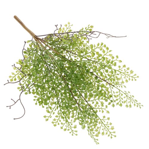 Umělá zelená větvička Ruscus pro květinovou dekoraci, 41 cm | Floristik24.cz