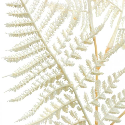 položky Ozdobná listová kapradina, umělá rostlina, kapradinová větev, dekorativní list kapradiny bílá L59cm