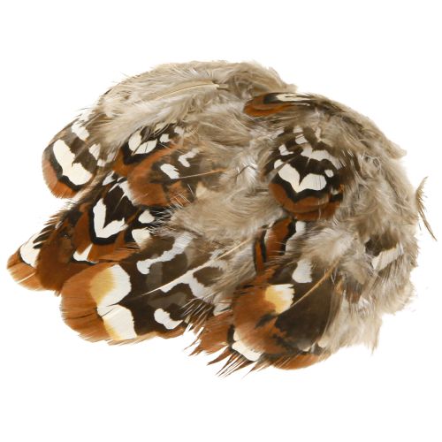 položky Bažantí peří pro řemesla, hnědé tečkované, 4-9 cm, 60 kusů