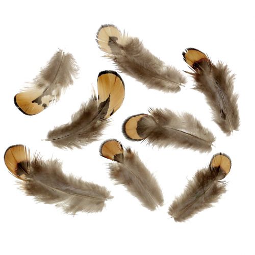 Floristik24 Směs peří přírodní 12g