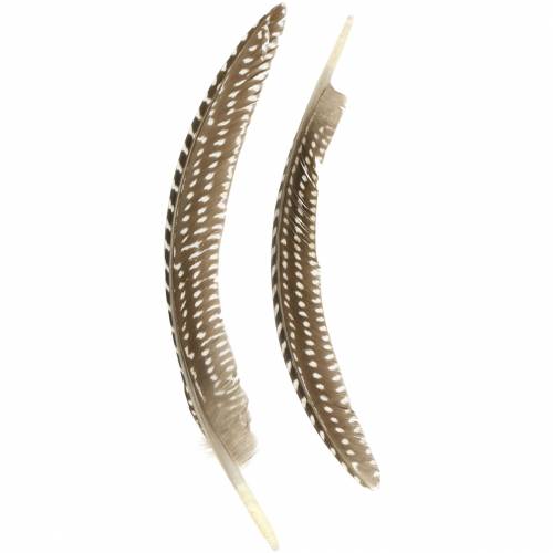 Peří přírodní 18 - 24cm 10g
