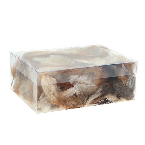 Floristik24 Druh peří. 5-15cm příroda 228ks