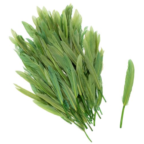 Floristik24 Dekorativní peří pro stylovou atmosféru a působivé dekorace 10 cm