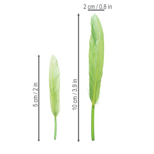 položky Dekorativní peří pro stylovou atmosféru a působivé dekorace 10 cm