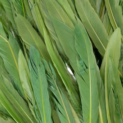 položky Dekorativní peří pro stylovou atmosféru a působivé dekorace 10 cm