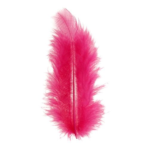 Floristik24 Krátké peří 30g fuchsiové