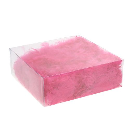 Floristik24 Krátké peří 30g fuchsiové