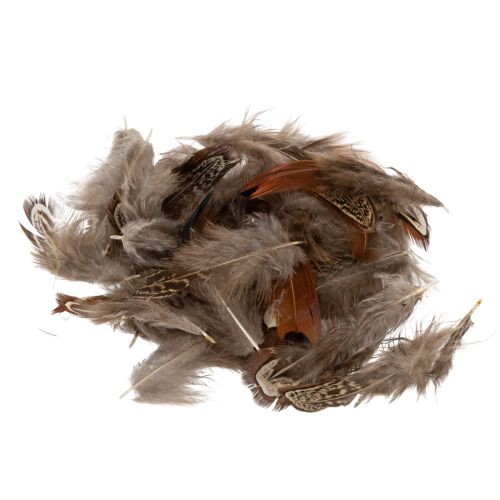 Peříčka pro všestranné tvořivé nápady, kreativní design a dekorace, 5 cm, 3 g