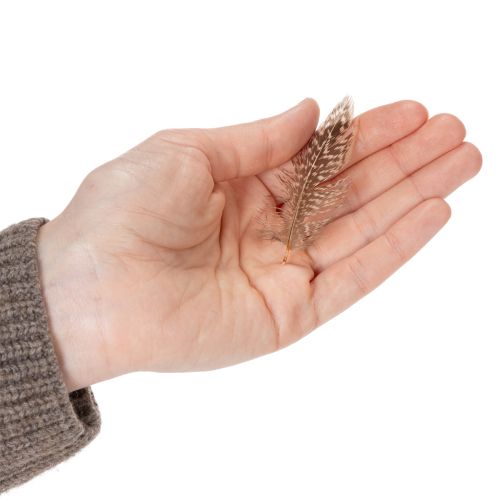 položky Peříčka pro všestranné tvořivé nápady, kreativní design a dekorace, 5 cm, 3 g