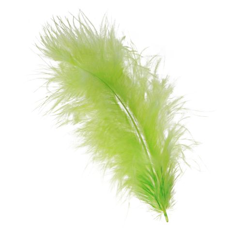 Floristik24 Peříčka na tvoření ve světle zeleném zdobení peřím 5-10cm 20g