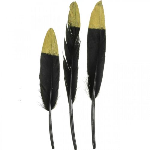 položky Ozdobné peří černé, zlaté pravé peří pro řemesla 12-14cm 72ks