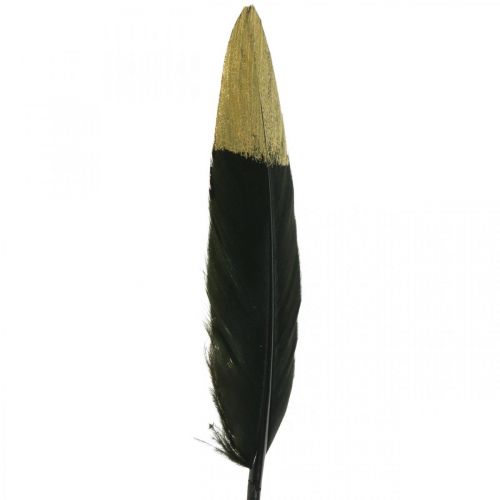 položky Ozdobné peří černé, zlaté pravé peří pro řemesla 12-14cm 72ks