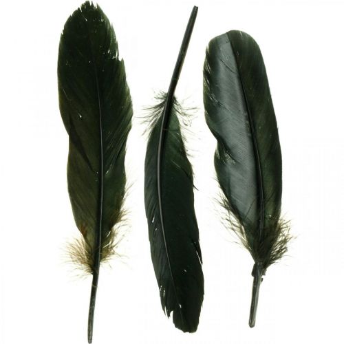 Deco peří černé ptačí peří na craftění 14-17cm 20g
