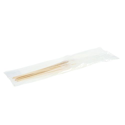Floristik24 Peříčka k nalepení bílá L35cm 12ks
