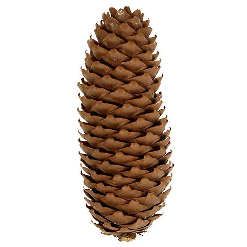 položky Smrkové šišky přírodní 5kg borové šišky